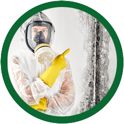Mold Professional providing mold remediation in Clayton NC