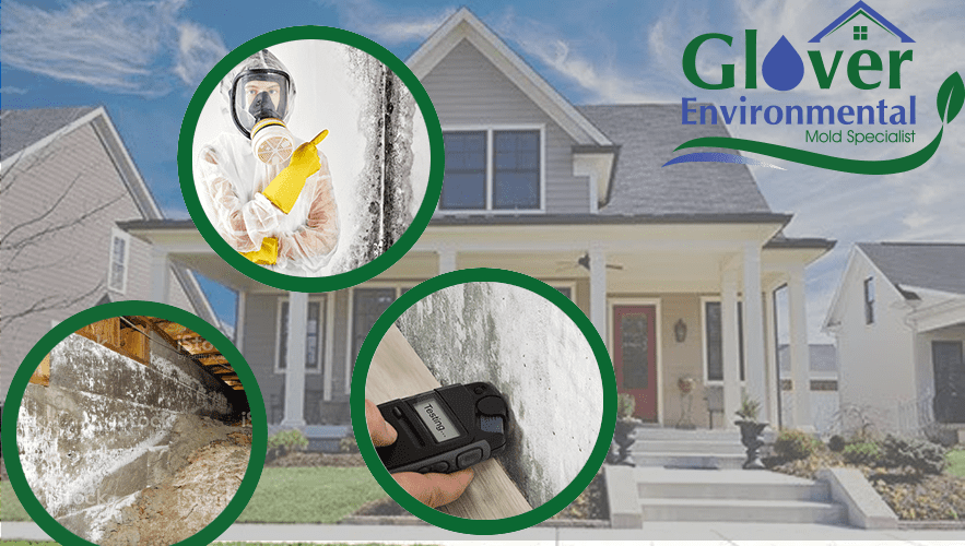 Mold Removal, Remediation & Treatment Metro Detroit - Ecotelligent Homes